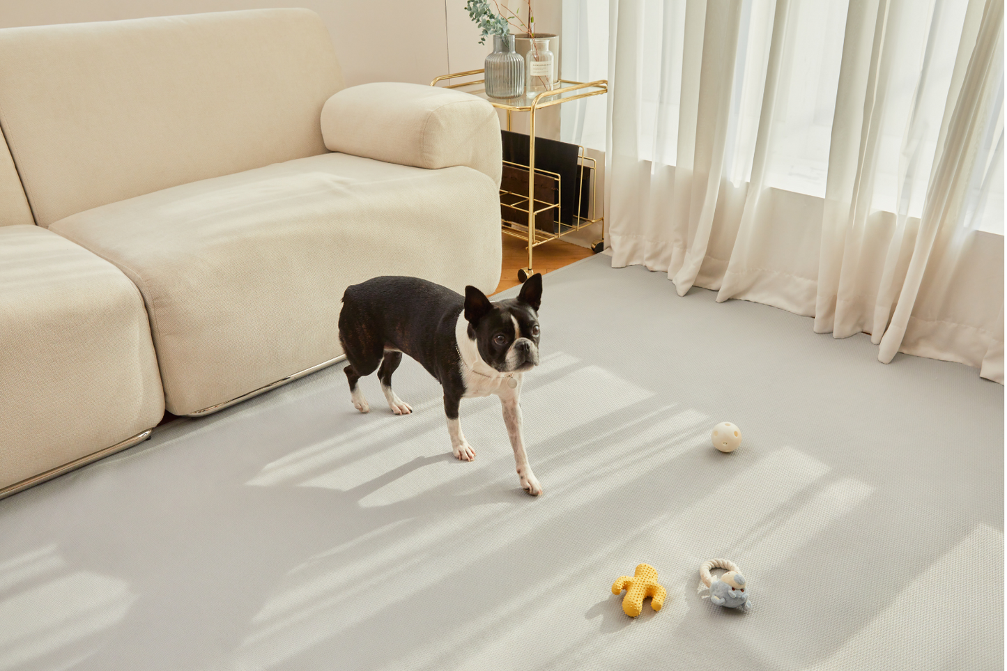 Revolution Rug